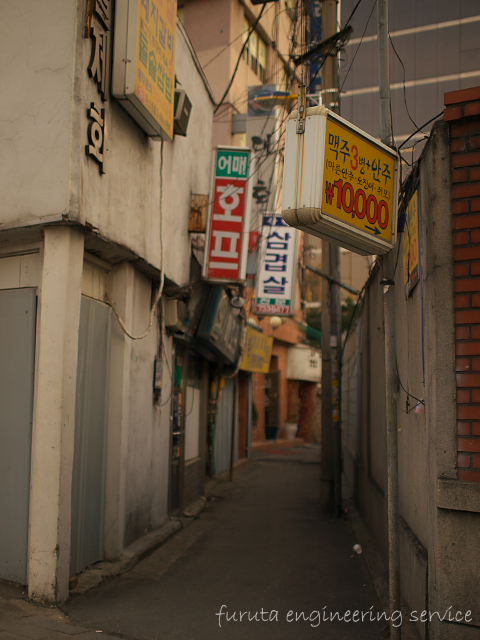 P2287134.jpg