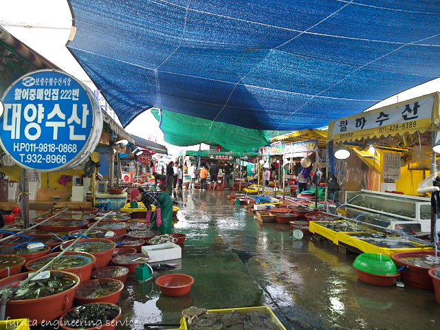 PA021439.jpg