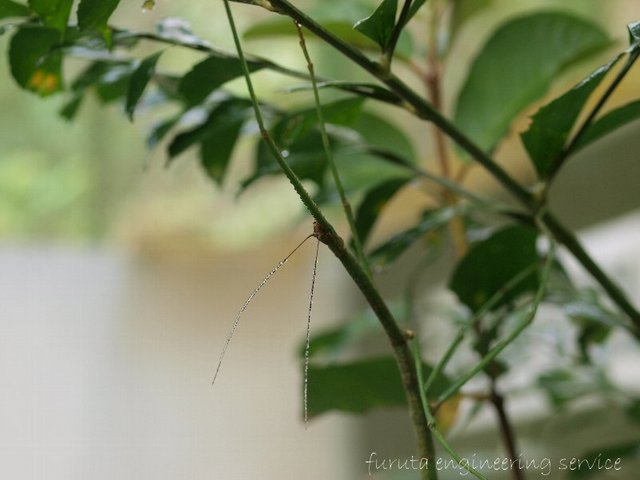 PA056150.jpg