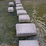 RIMG0667.jpg