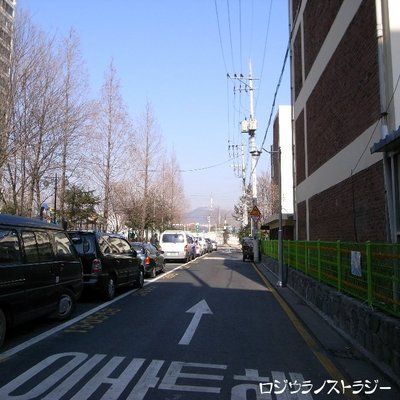 RIMG0761.jpg