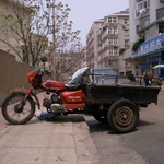 RIMG3295.jpg