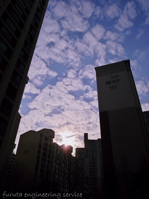 RIMG5024.jpg