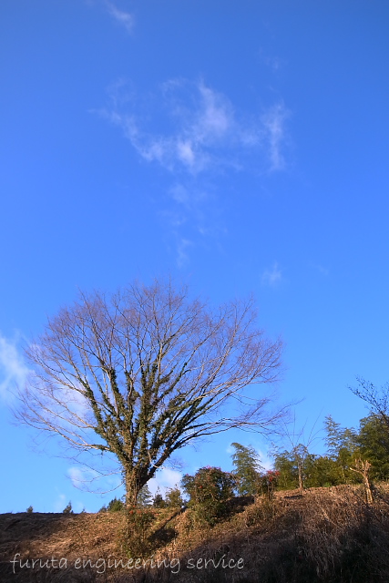 RIMG5870.jpg